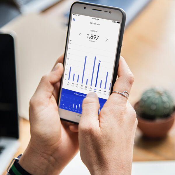 Person reviewing water usage on phone